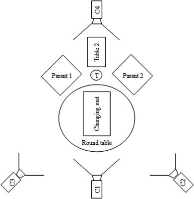 The Diaper Change Play: Validation of a New Observational Assessment Tool for Early Triadic Family Interactions in the First Month Postpartum